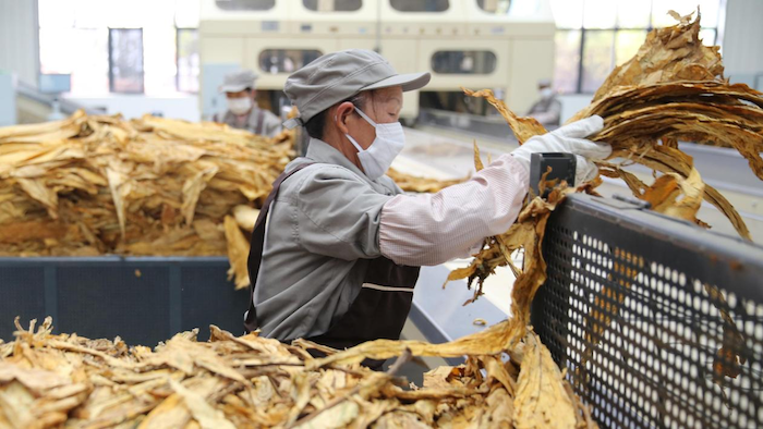 星夜兼程，點(diǎn)亮新生產(chǎn)線