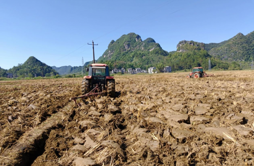 百色煙草：綠色生產(chǎn)奏響冬翻序曲，糧煙互促共繪振興藍圖