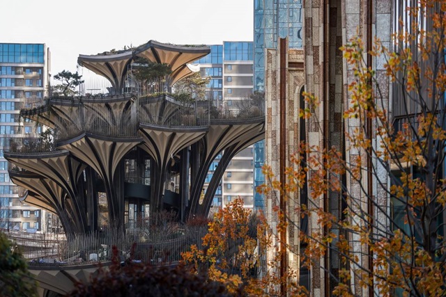 1733793964326619.jpg 1733793964326619.jpg