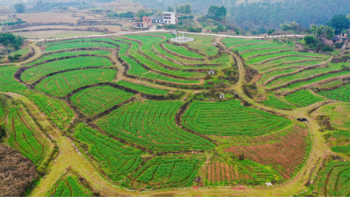 “云霧花澗·萬畝梯田”品牌推介會(huì)暨鄉(xiāng)村振興主題交流會(huì)成功舉辦