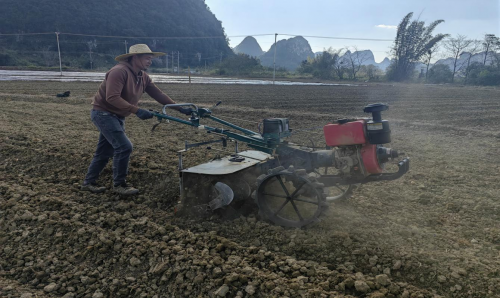 廣西百色：煙田整地起壟“加速度”，奏響鄉(xiāng)村振興“新樂章”