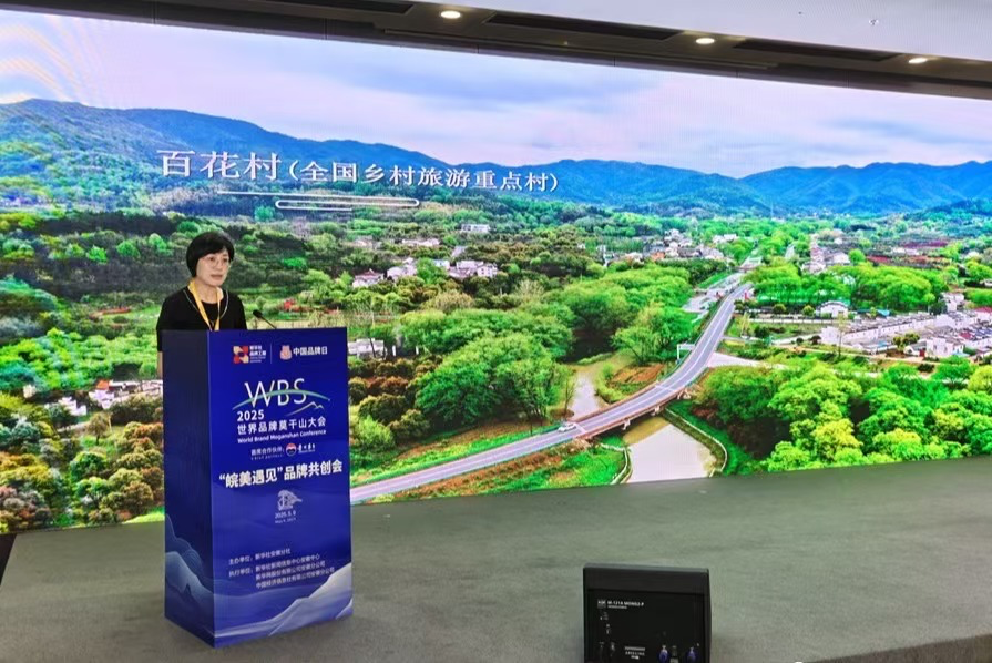 安徽廬江全域旅游建設(shè)成果亮相2025世界品牌莫干山大會