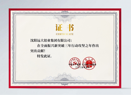 這一年，咱們沒白干??——沈陽遠(yuǎn)大鋁業(yè)集團(tuán)榮獲遼寧省委省政府通報(bào)表揚(yáng)