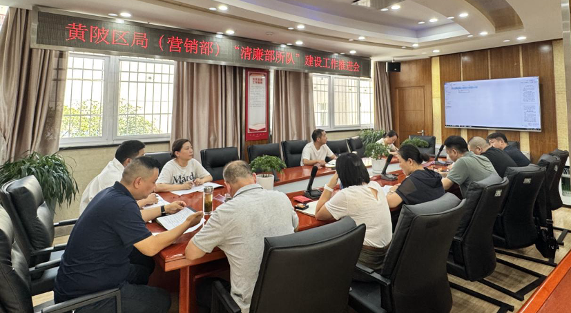 武漢黃陂：精準(zhǔn)發(fā)力強(qiáng)根基 清廉建設(shè)再深化