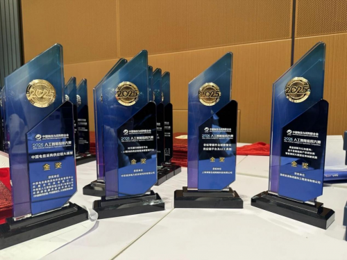 海智在線榮獲“2025人工智能應(yīng)用大賽”金獎(jiǎng)，是唯一獲此殊榮的民營(yíng)公司