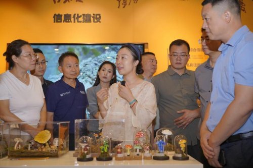 人工培育靈芝孢子粉專贈暨科普科研啟動儀式舉行