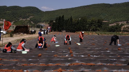 一直游到海水變藍(lán)——在時(shí)代長潮中校準(zhǔn)青年前行方向