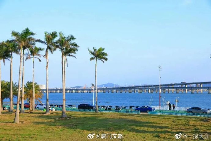 1772100835895289.png 1772100835895289.png