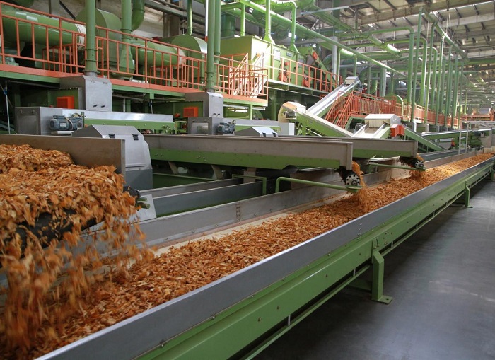 “星芒”激活發(fā)展新動能